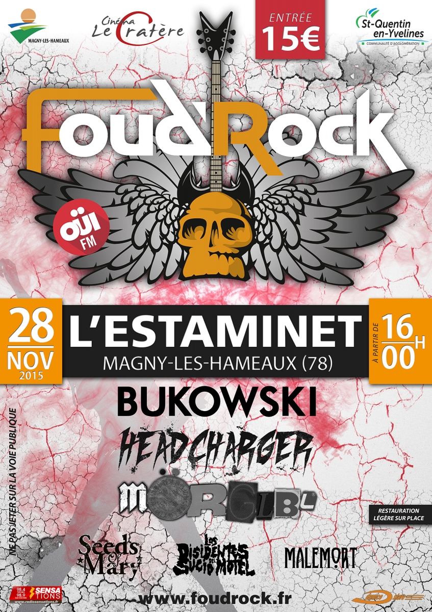 Affiche Festival 2015
